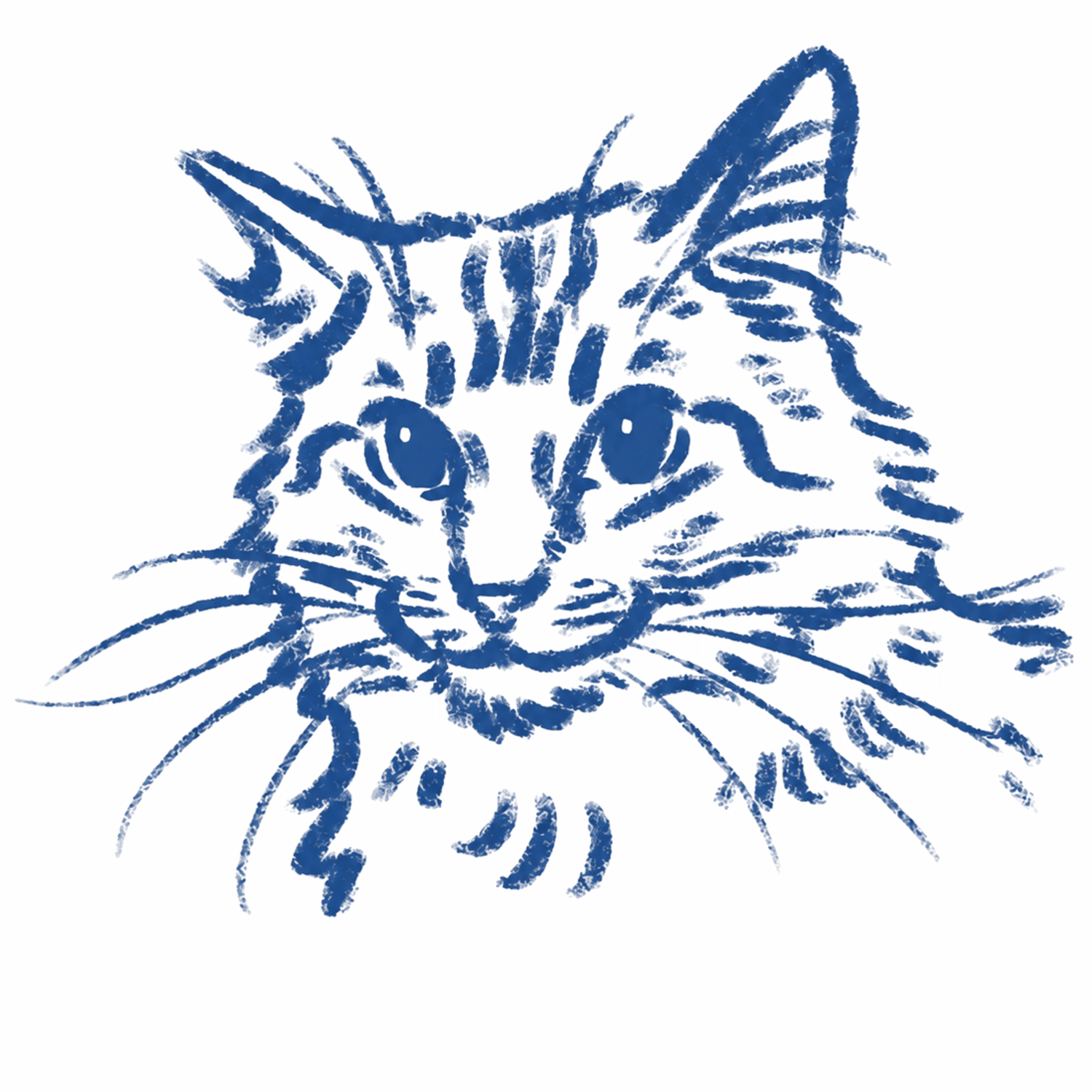 CAT TEES